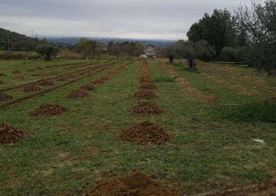 Bonifica Profonda Mediante Trivellazioni