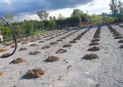Bonifica Profonda